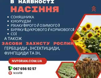Зображення для оголошення Все для посіву НАСІННЯ