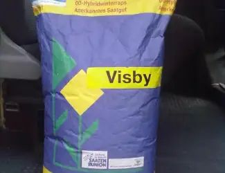Зображення для оголошення Семена рапса Лембке Висби (Lembke Visby)