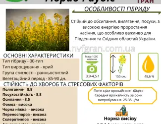 Зображення для оголошення Насіння ЯРОГО ріпака - Раудіс (раундапостійкий)