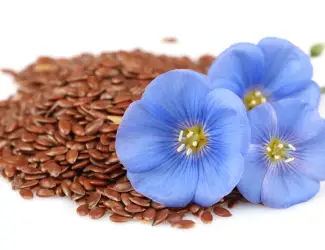 Зображення для оголошення Куплю льон КОРИЧНЕВИЙ і ЗОЛОТИСТИЙ з місця