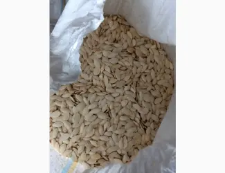 Зображення для оголошення Куплю тыквенную семечку от 100кг