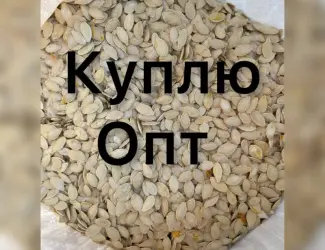 Зображення для оголошення Купимо Гарбузове насіння всіх сортів