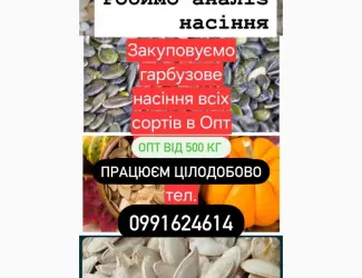 Зображення для оголошення Куплю насіння гарбуза