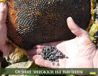 Зображення для оголошення Насіння СОНЯШНИКА та Кукурудзи за доступними цінами