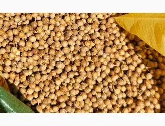 Зображення для оголошення Продам корианд