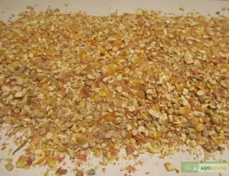 Зображення для оголошення Закупаем сельхозпродукцию с повышенной влажностью