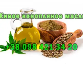 Зображення для оголошення Продам свежевыжатое масло из технической конопли