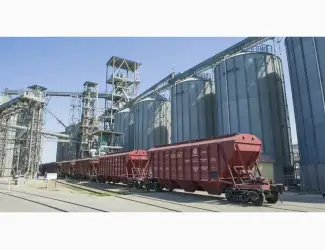 Зображення для оголошення Селитра
