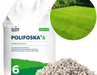 Зображення для оголошення Поліфоска 6 (NPK) 6-20-30 +7(S) / Polifoska 6