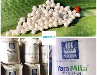 Зображення для оголошення Добрива YaraMila 8-24-24 (ЯраМіла)
