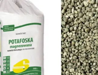 Зображення для оголошення Потафоска Potafoska Siarkopol Сяркополь PK та 4 13 12 Польща