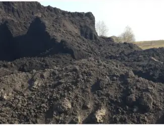 Зображення для оголошення Чернозем