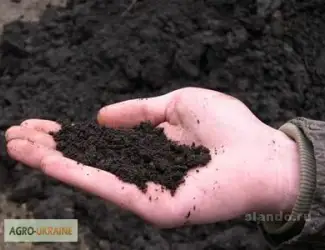 Зображення для оголошення Чернозем Осокорки Славутич Чернозем в мешках Белая Дача