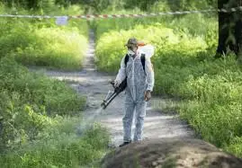 Зображення для оголошення Средство от амброзии