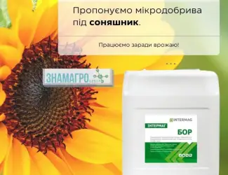 Зображення для оголошення Інтермаг - Бор