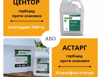 Зображення для оголошення Гербіцид (грамініцид) проти злакових бур'янів