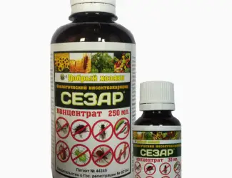 Зображення для оголошення Сезар -новый патентованный биопрепарат против вредителей растений
