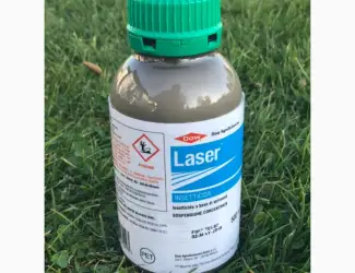 Зображення для оголошення Laser 480 sc (Лазер) 0