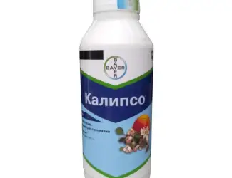 Зображення для оголошення Купить инсектецид Калипсо 480