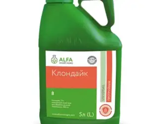 Зображення для оголошення Протруйник Клондайк (тіаметоксам