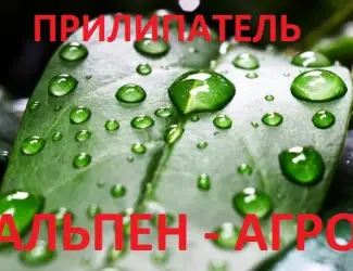 Зображення для оголошення Прилипатель