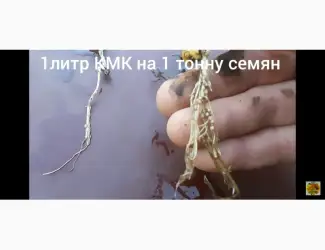 Зображення для оголошення КмК - стимулятор роста