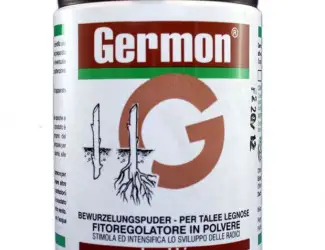 Зображення для оголошення Germon 75% (Жермон) 100г - стимулятор роста для укоренения черенков древесных пород