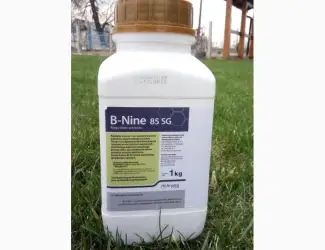 Зображення для оголошення Регулятор роста Би Найн B-Nine 85 SG для хризантем (Польша)