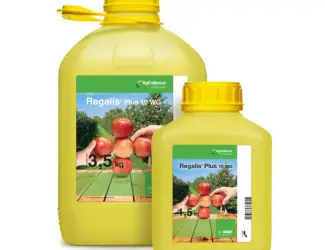 Зображення для оголошення REGALIS PLUS 10 WG (Регалис Плюс) 1
