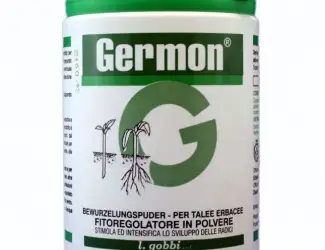 Зображення для оголошення Germon 50% (Жермон) 100г - стимулятор роста для укоренения черенков