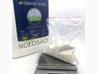 Зображення для оголошення Dazide 85 WSG (Дазиде) 100г – регулятор роста для хризантем на развес
