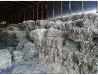 Зображення для оголошення Продам сіно з люцерни. Гранули люцерни