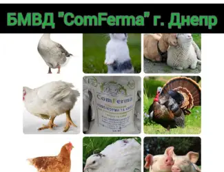 Зображення для оголошення БМВД "ComFerma" 30% Бройлер Старт