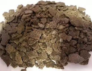 Зображення для оголошення Купуємо ріпакову (рапсову) макуху (жмих) на експорт