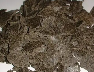Зображення для оголошення Жмих/Макуха соняшника/рапсова