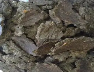 Зображення для оголошення Продам жмых подсолнечный