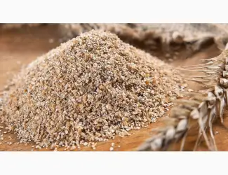 Зображення для оголошення Fresh wheat bran for sale