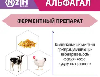 Зображення для оголошення АльфаГал ENZIM Feeds - Ферменты для животных и птицы