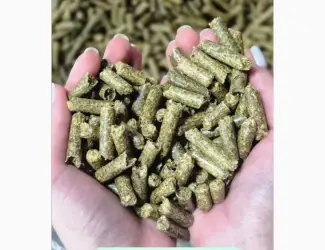 Зображення для оголошення Гранульована люцерна