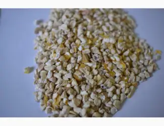 Зображення для оголошення Зародок кукурудзяний
