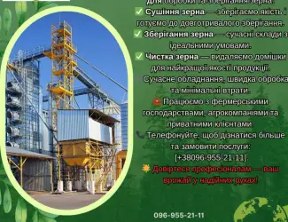 Зображення для оголошення Сушіння зерна. Сушка зерна. Чистка зерна в Київській обл