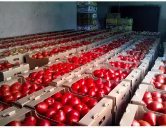 Зображення для оголошення Продам ящик под помидор