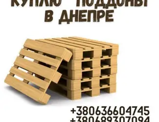 Зображення для оголошення Европоддоны куплю в Днепре