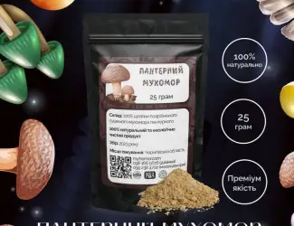 Зображення для оголошення Мухомор Пантерний мелені шляпки