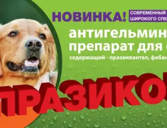 Зображення для оголошення Празикон -ангельминтик широкого спектра действия