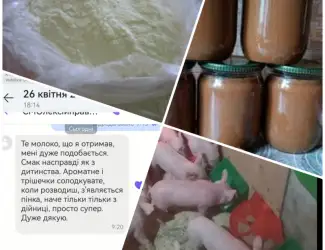 Зображення для оголошення Сухе молоко 26%