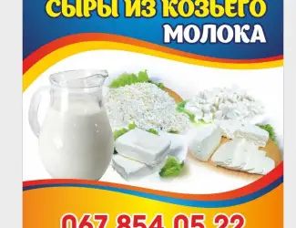 Зображення для оголошення Продам козье молоко и сыры из козьего молока