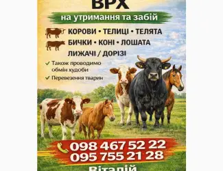 Зображення для оголошення Куплю Врх