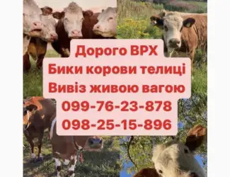 Зображення для оголошення Врх куплю