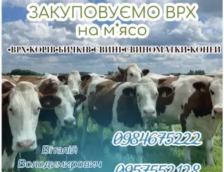 Зображення для оголошення Врх дорого купуємо